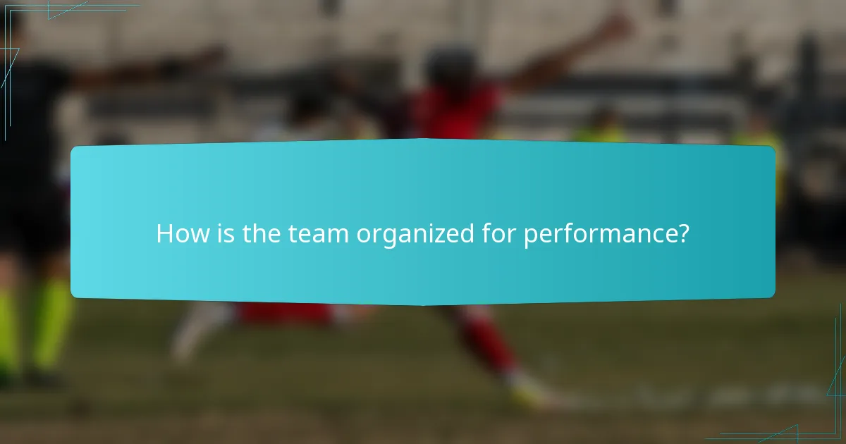 How is the team organized for performance?